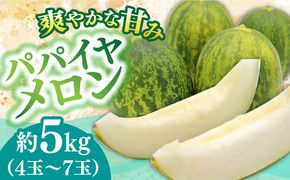 【2025年4月〜発送】【いくらでも食べたくなるさっぱりとした甘さ！】南島原名産 パパイヤメロン 約5kg 4玉〜7玉 / 南島原市 / 贅沢宝庫[SDZ034]