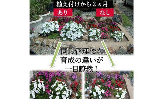 D10-15 土に息を吹込む 息吹グリーン1kg