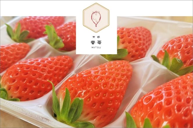 【先行予約】2026年産 京都 蜜いちご（あきひめ）（大サイズ（6粒または8粒）×2パック）約450g（2026年1月上旬～発送）　FM00010