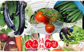 大和情熱野菜の玉手箱