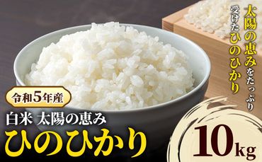 【令和5年産】白米 岡山県産 ひのひかり 笠岡産 10kg《30日以内に出荷予定(土日祝除く)》 農事組合法人奥山営農組合 太陽の恵み O-2_10k---O-02_10k_h---