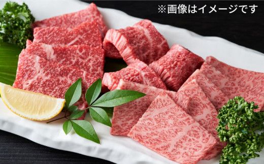 【全3回定期便】【和牛の旨味を堪能！】博多和牛焼肉用 500g《築上町》【株式会社MEAT PLUS】[ABBP033]