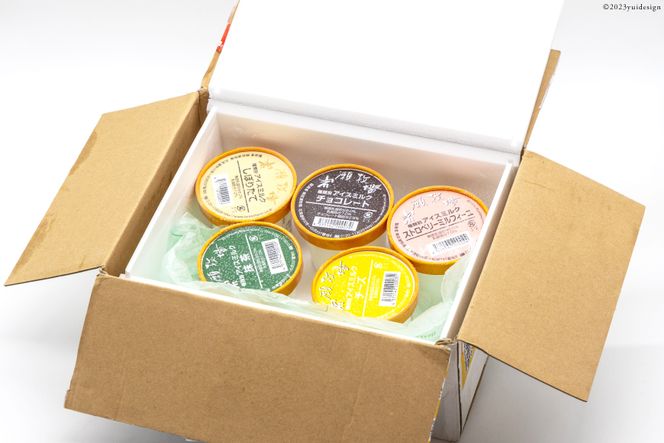 【牧場直送】 アイス 120ml ×5種 計5個 食べ比べ [岩瀬牧場 北海道 砂川市 12260519] ジェラート アイスクリーム スイーツ デザート スウィーツ おやつ