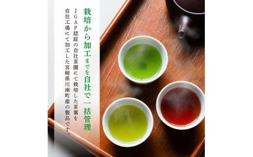 「六車農園」お茶Ｍセット 【 九州産 宮崎県産 川南町産 茶 お茶 ティーバッグ 国産茶 飲料 日本茶 飲みやすい 使いやすい 】 [G8702]