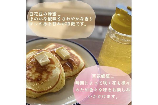 《14営業日以内に発送》【国産蜂蜜】はちみつ450g パッカー容器2本 ( 白花豆蜂蜜 百花蜂蜜 はちみつ 蜂蜜 ハチミツ ハニー パッカー容器 )【022-0013】