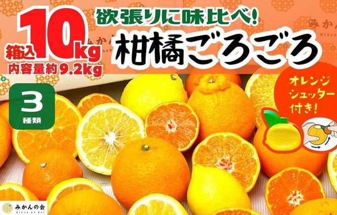 旬の柑橘食べ比べ 柑橘ごろごろ 3種 箱込 10kg(内容量約 9.2kg) 秀品 優品 混合 和歌山県産 産地直送 【おまけ付き】【みかんの会】AX250