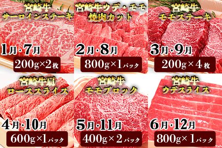＜12か月定期便 宮崎牛づくしセット＞翌月末迄に第一回目発送【a0323_em_x3】