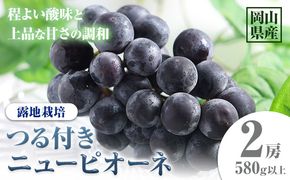 【先行予約】 岡山県産 つる付きニューピオーネ 2房 580g以上 露地栽培 葡萄 果物 厳選出荷 スイーツ フルーツ デザート 岡山県矢掛町《9月上旬-10月末頃に出荷予定(土日祝除く)》 種なしぶどう 【配送不可地域あり】---osy_chbf20_af9_25_21500_2---