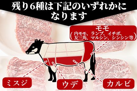＜宮崎牛焼肉9種盛（約630g）＞翌月末迄に順次出荷【b0479_em】