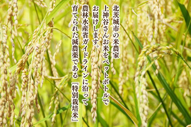 BC011　【先行予約】ペットボトル米の４種食べ比べセット