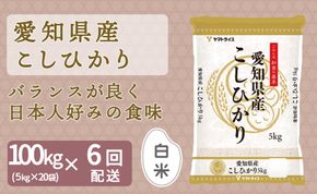 【精米】6回定期便 愛知県産コシヒカリ 100kg（5kg×20袋） 安心安全なヤマトライス 米 白米 国産 精米 大容量 5キロ　H074-624