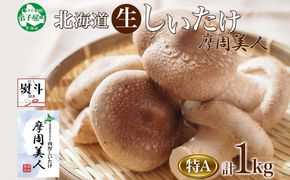 1950. 無地熨斗 しいたけ 特A 秀品 4パック 計1kg 摩周美人 シイタケ 椎茸 生しいたけ きのこ キノコ 菌床栽培 肉厚 熨斗 のし 名入れ不可 送料無料 北海道 弟子屈町