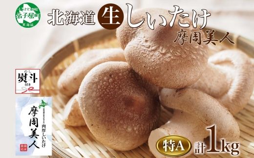 1950. 無地熨斗 しいたけ 特A 秀品 4パック 計1kg 摩周美人 シイタケ 椎茸 生しいたけ きのこ キノコ 菌床栽培 肉厚 熨斗 のし 名入れ不可 送料無料 北海道 弟子屈町