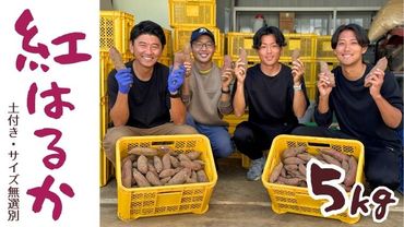 茨城県産 さつまいも 紅はるか 5kg （ 土付き サイズ無選別 ） べにはるか いも 茨城 甘い おいしい 美味しい [ED01-NT]