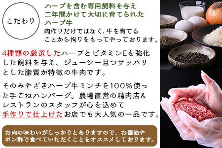 ＜みやざきハーブ牛 手ごねハンバーグ「生」（140g×10個）＞入金確認後、翌月末迄に順次出荷【c458_fw_x4】