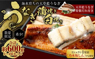 【ミシュラン1星店でも使用】海水育ちの天草藍うなぎ 紅白3～4尾セット【合計約600g】ウナギ 鰻 蒲焼き 白焼き 数量限定!!