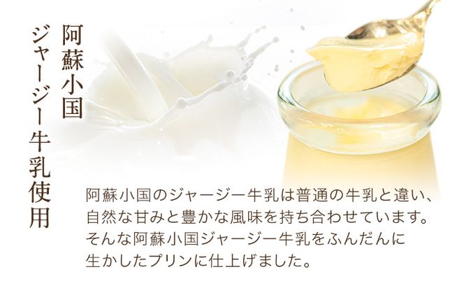 プリン 南阿蘇のプリン専門店 キャラメルプディング 人気プリン3種×3個セット 計9個お届け《60日以内に出荷予定(土日祝を除く)》プリン 南阿蘇こだわりプリン 大人プリン クリーミープリン 手作り 阿蘇小国ジャージー牛乳 お菓子 スイーツ お土産---sms_ckyapudding_60d_r7_14000_9p---