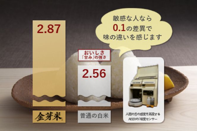 6回 無洗米 定期便 】加美産 金芽米 ひとめぼれ 10kg (5kg×2袋)×6回