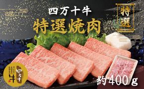 R5-001．幻のメス牛 四万十牛特選焼肉（約400ｇ）