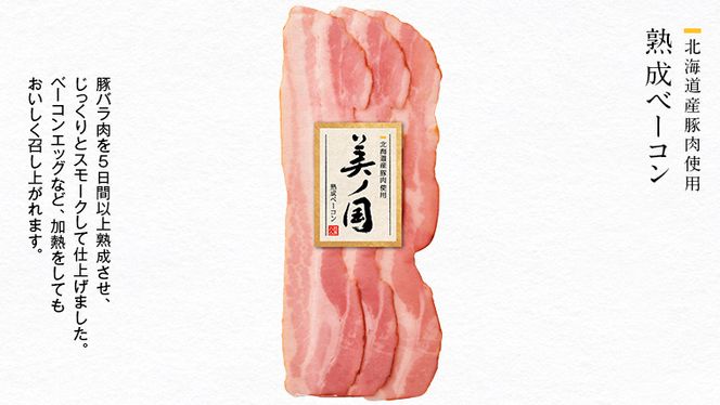 日本ハム 美ノ国 ギフトセットC 肉 にく 贈答 ギフト 詰め合わせ ハム  生ハム ロース ステーキ ベーコン あらびき ソーセージ ウィンナー [AA077ci]