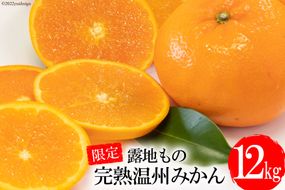 DD002 【令和8年10月下旬から順次発送】森崎果樹園の露地もの完熟温州みかん（12kg）[みかん ミカン オレンジ 果物 くだもの フルーツ 露地もの 完熟 温州 長崎県 島原市]