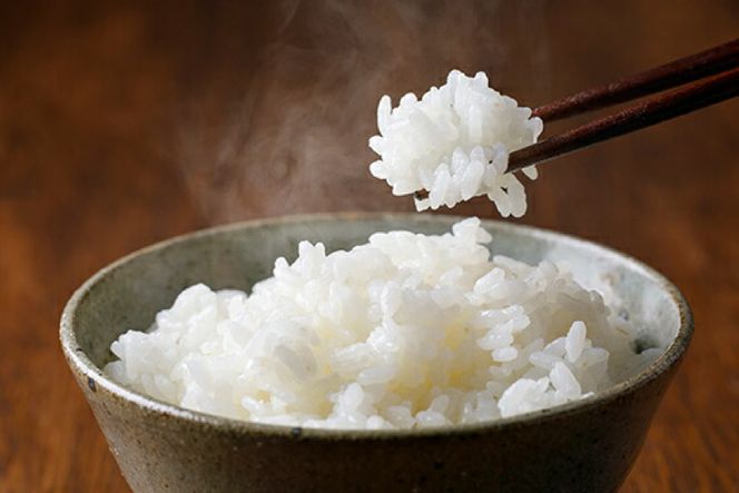 定期便 特別栽培米 コシヒカリ 玄米5kg×1×6回 [農家にしの 石川県 宝達志水町 38600640] 米 お米 ご飯 ごはん