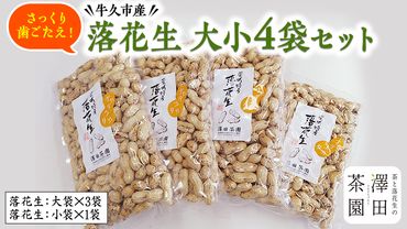 牛久産落花生 大小4袋詰合せ 牛久産 落花生 大小 4袋 詰合せ ピーナッツ ピーナツ ナカテユタカ 中手豊 甘い 美味しい おいしい おやつ お菓子 ビールのお供 お酒のあて 酒の肴 お取り寄せ 詰め合わせ セット お土産 贈り物 ギフト プチギフト 国産 茨城 特産品 農園 自家栽培 [AX007us]