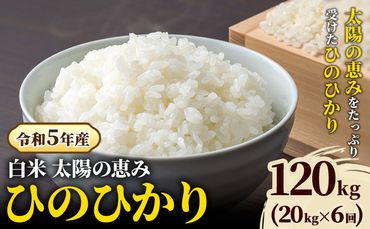 【令和5年産】白米 岡山県産 ひのひかり 笠岡産 120kg(20kg×6回)《30日以内に出荷予定(土日祝除く)》 農事組合法人奥山営農組合 太陽の恵み O-2_10k---O-02_120k_h---