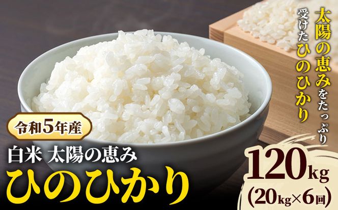 【令和5年産】白米 岡山県産 ひのひかり 笠岡産 120kg(20kg×6回)《30日以内に出荷予定(土日祝除く)》 農事組合法人奥山営農組合 太陽の恵み O-2_10k---O-02_120k_h---