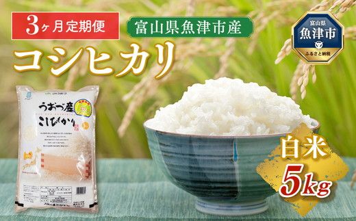 [ふるさと納税][令和6年度米][定期便]5kg×3ヶ月定期便 富山県うおづ産米コシヒカリ 白米 富山米 |こしひかり 3回 3ヶ月 新米 こめ コメ お米 おこめ 白米 精米 うまみ あまみ 富山 魚津※2024年10月中旬頃より順次発送予定 ※北海道、沖縄、離島配送不可