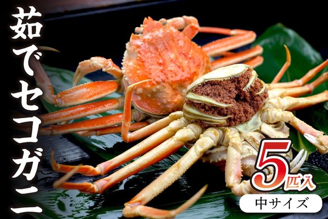 ys{Osz̎|I䥂ŃZRKj yIz TCY5C@SS00077