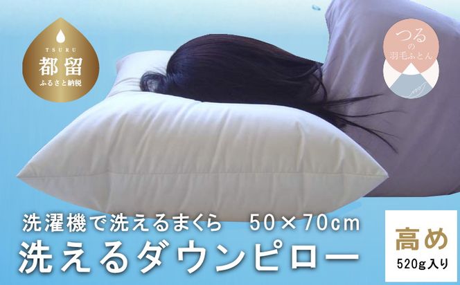 AM004【高め】洗えるダウンピロー（50cmX70cm 520g入り）