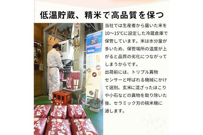 【12月末まで】【定期便】令和7年産 新米 京都丹波米 きぬひかり5kg×12回 計60kg〇5kg 12ヶ月 白米 12回定期便 ※精米したてをお届け 米・食味鑑定士厳選 キヌヒカリ 京都丹波産 ※北海道・沖縄・離島への配送不可