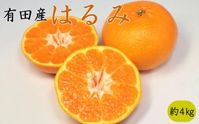 【農園直送】和歌山有田産の濃厚はるみみかん約4kg(サイズ混合)★2025年2月中旬頃より順次発送	BZ122