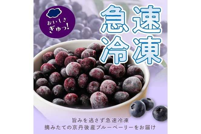 美味しさそのまま摘みたてをハイブリッド冷凍　京丹後産冷凍ブルーベリー1kg/北畿水産　HK00160