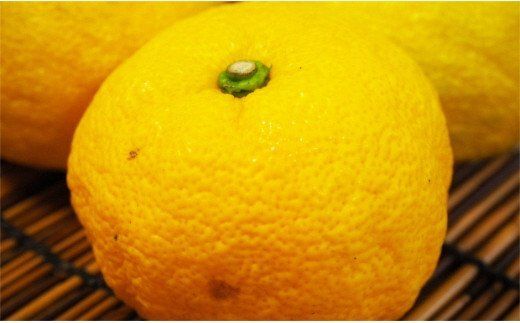 高知アイスの無添加ゆずドリンク「希釈用」1L×1本