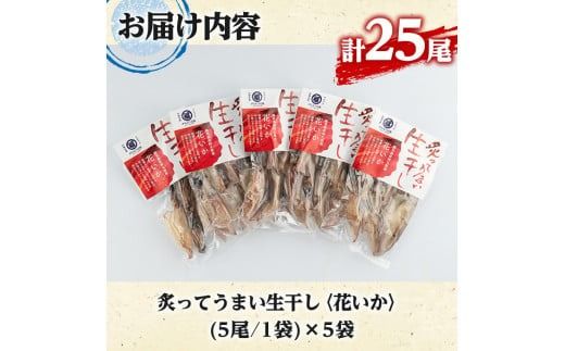 鹿児島県阿久根市産生干し「花いか」(計25尾・5尾×5袋)国産 魚介 干物 ひもの イカ 烏賊 がらんつ干物【マルフク川畑水産】akn029-06