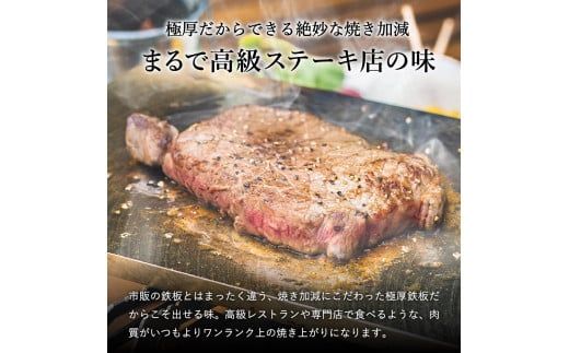 025FS01N.MILL,pan TYPE-Fm （ミーリングタイプ）極厚鉄板８mm