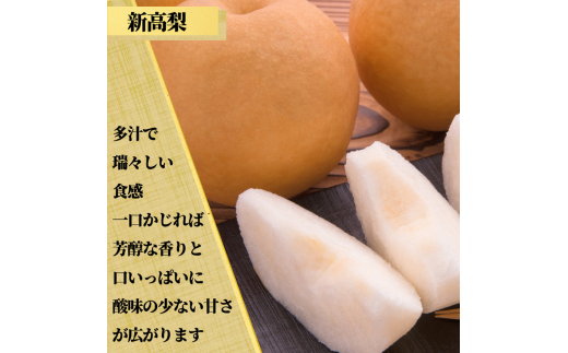 茨城県産 梨【品種おまかせ】約5kg【茨城県共通返礼品　かすみがうら市産】※2025年9月中旬～2026年1月下旬頃に順次発送予定 ※離島への配送不可