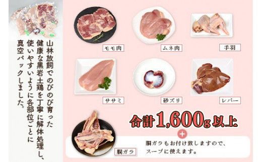＜黒岩土鶏(丸ごと一羽分)合計1,600g以上＞【c679_ki_x3】翌月末迄に順次出荷 鶏肉 丸ごと 1.6kg以上 冷凍