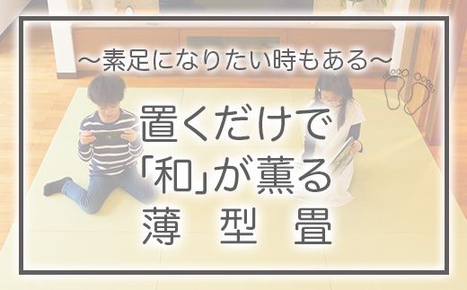 【置くだけでくつろげる畳空間に】 8ミリ置き畳「凪-NAGI-」 2枚  084003