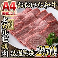 おおいた和牛 上カルビ 焼肉 (250g) 国産 牛肉 肉 霜降り 低温熟成 A4 和牛 ブランド牛 カルビ BBQ 冷凍 大分県 佐伯市【DH219】【(株)ネクサ】