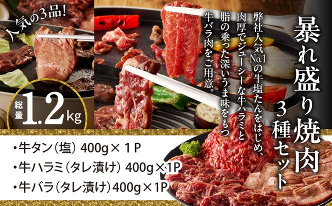 099H2875 暴れ盛り 焼肉 3種セット 総量 1.2kg （牛タン／牛ハラミ／バラ）