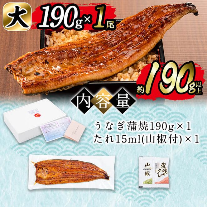 日ノ本一の鰻の蒲焼き＜大＞1尾(約190g以上) a2-067 