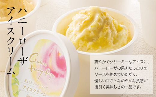 ぎょくとうセレクトアイスバラエティーセット  ぷらっとぎょくとう《60日以内に出荷予定（土日祝除く）》熊本県玉名郡玉東町 すもも ハニーローザ いちご アイス モナカ---sg_fivariety_60d_24_18000_1140ml---