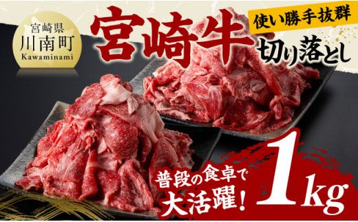 宮崎 牛切り落とし 1kg【 肉 牛肉 国産 宮崎県産 黒毛和牛 和牛 切り落とし 】[D11419]