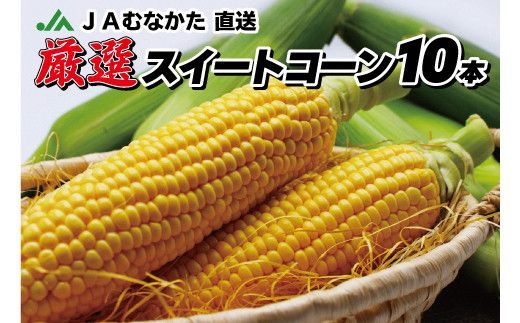 y@szJAނȂuIXC[gR[v2LTCYȏ 10{yJAق̗z_HA0272