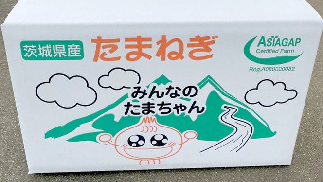 ASIAGAP認証農場 の たまねぎ 10kg ( Lサイズ ) 令和7年産 先行予約 玉ねぎ 玉葱 タマネギ 有機栽培 野菜 ASIAGAP [DD004ci]