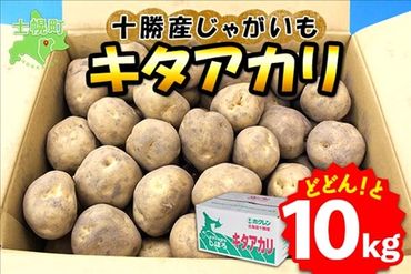 北海道 じゃがいも キタアカリ 10kg 北海道産 十勝産 きたあかり 北あかり ジャガイモ 芋 いも ポテト お取り寄せ まとめ買い 送料無料 十勝 士幌町【V04】