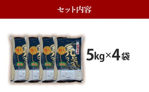 令和7年産　福岡県産ブランド米「元気つくし」白米20kg【11月上旬頃より順次出荷予定】